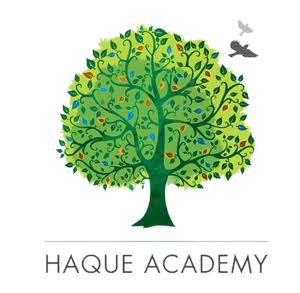 Haque Academy